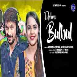 Bulbul Tu mora Bulbul